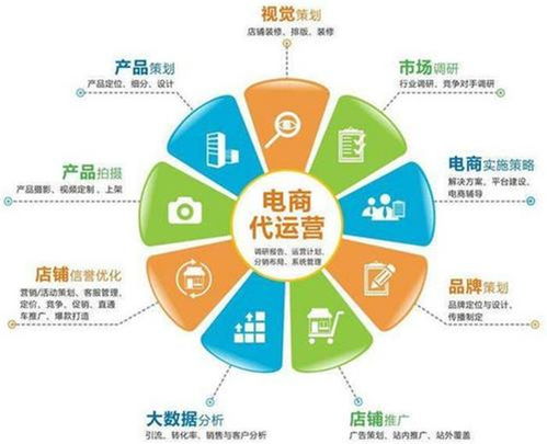 新創(chuàng)電子 安陽淘寶代運(yùn)營(yíng)與電商幫運(yùn)營(yíng)的完美結(jié)合